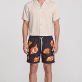 Sandro Men's Brown Shells Swimming Shorts Size L SHPMB00041